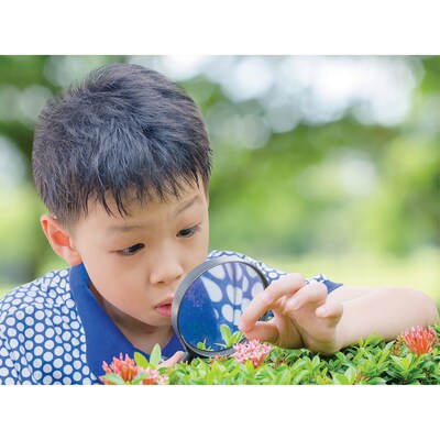 Mojo STEAM is Everything Wooden Puzzle Set, 7/Set (MJ-345406)
