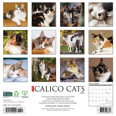 2025 Willow Creek Just Calico Cats 12 x 12 Monthly Wall Calendar (42090)