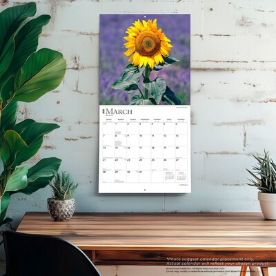 2027 BrownTrout Sunflowers 12" x 12" Monthly Wall Calendar (9798330711352)