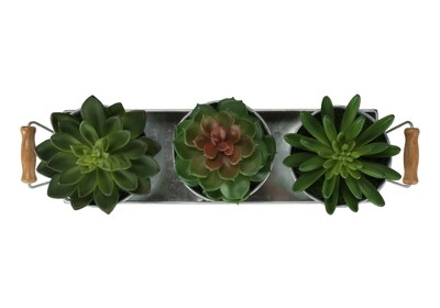 Monarch Specialties Inc. 6" Artificial Succulent in Pot, 3/Set (I 9372)