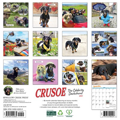 2025 Willow Creek Crusoe the Celebrity Dachshund 12 x 12 Monthly Wall Calendar (42632)