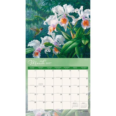 2027 BrownTrout Hummingbirds 14" x 12" Monthly Wall Calendar, Assorted Colors (9798330716029)