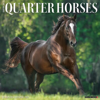 2027 Willow Creek American Quarter Horses 12 x 12 Monthly Wall Calendar, Assorted Colors (58763)