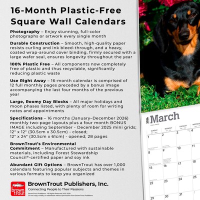 2026 BrownTrout Dachshunds 12" x 12" Monthly Wall Calendar (9798330703128)