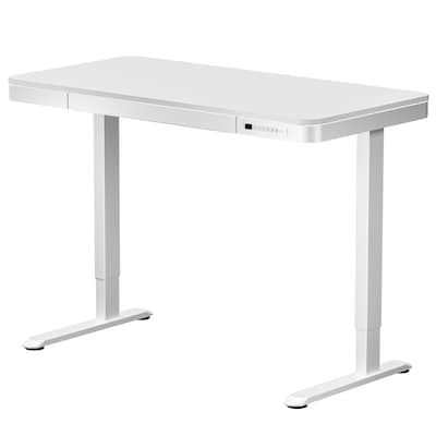 FlexiSpot EW2 48W Electric Adjustable Standing Desk, White (EW2W-E)