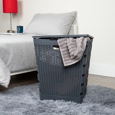 Mind Reader Foldable Plastic Laundry Hamper with Lid, Gray (FOLHAMP61-GRY)