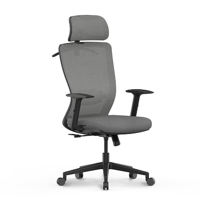 FlexiSpot Ergonomic Mesh Swivel Computer and Desk Chair, Gray (C3G-FM)