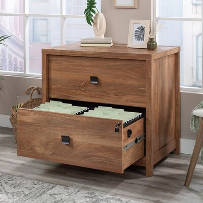 Sauder Cannery Bridge Commercial 2-Drawer Lateral File Cabinet, Letter/Legal Size, 32"W x 22"D, Sindoori Mango (429514)