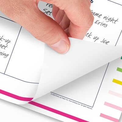 2025-2026 AT-A-GLANCE Simplified by Emily Ley 17" x 22" Academic Monthly Desk Pad Calendar (EL37-704A-26)