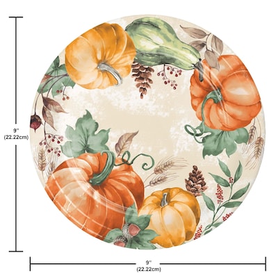 Say Hooray! Harvest Delight Paper Plates and Napkins Kit, Multicolored, 48/Pack (DTC9388E2G)