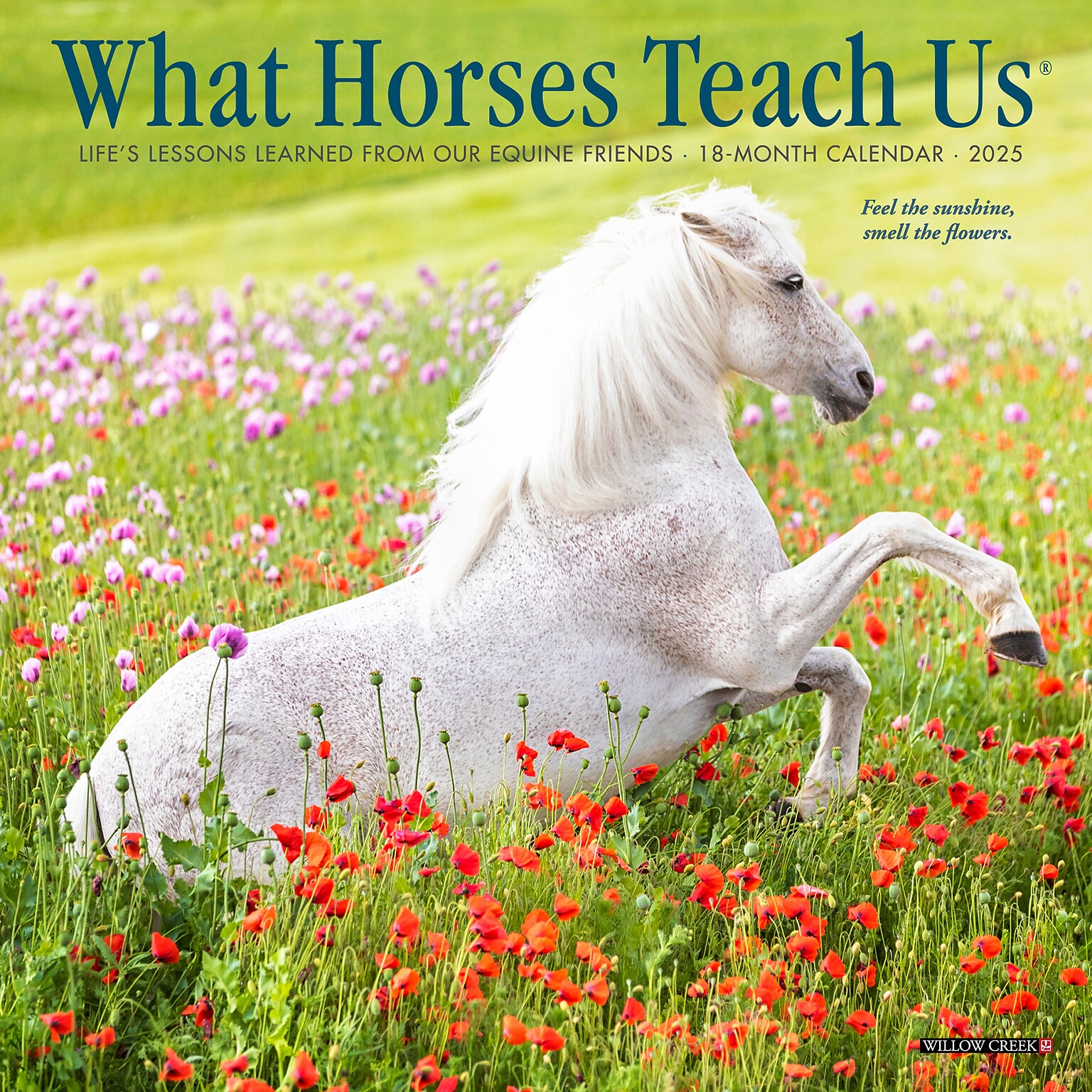 2025 Willow Creek What Horses Teach Us 7 x 7 Monthly Wall Calendar (46036)