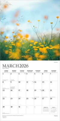 2026 Plato Psalms 12" x 12" Monthly Wall Calendar (9798330706716)