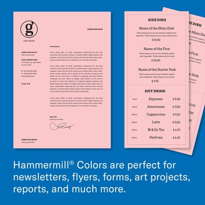 Hammermill 8.5" x 11" Colored Copy Paper, 20 lbs., Pink, 500 Sheets/Ream, 10 Reams/Carton (103382CT)