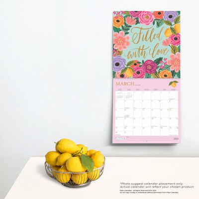 2025 Plato Bonnie Marcus 12" x 24" Monthly Square Wall Calendar, (9781975480097)