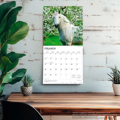 2026 BrownTrout Horse Lovers 12" x 12" Monthly Wall Calendar (9798330703739)