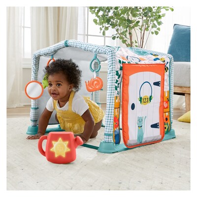 Fisher-Price 3-in-1 Crawl & Play Activity Gym