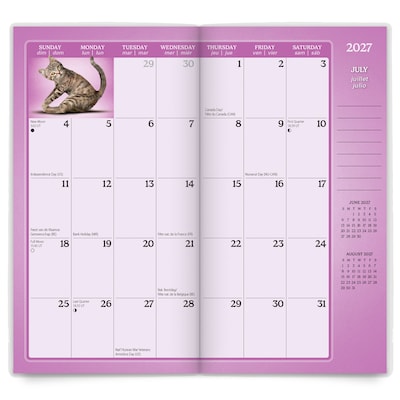 2027-2028 BrownTrout Yoga Kittens 3.5" x 6.5" Monthly Planner (9798330713547)