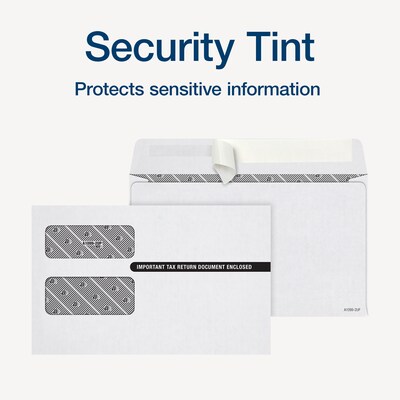 Adams 2025 1099 Envelopes, 2-Up Format, Double-Window, Self-Seal, Security Tinted, White, 25/Pack (STAX1-25)