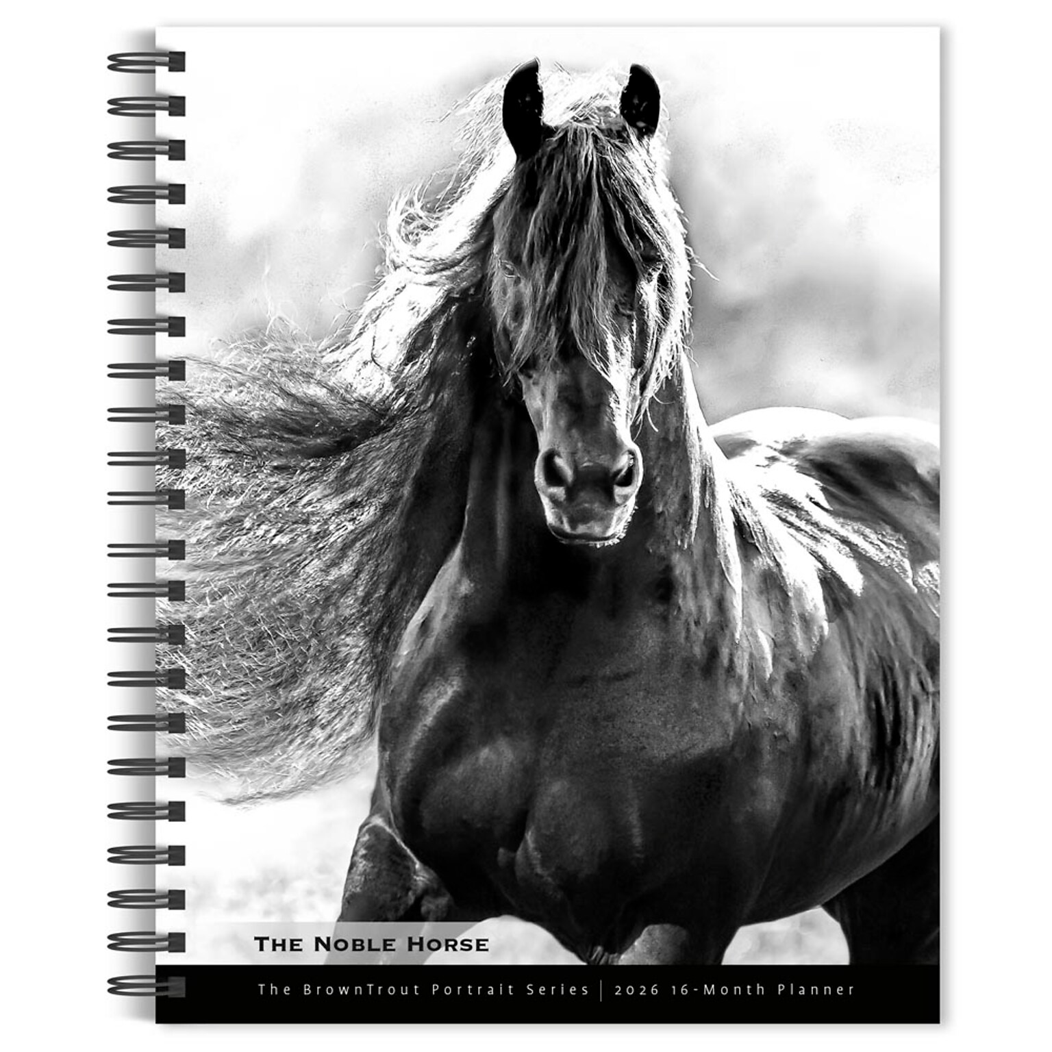 2026 BrownTrout The BrownTrout Portrait Series: The Noble Horse 6.5 x 7.75 Weekly Planner (9798330703746)