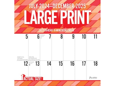 2024-2025 Plato Large Print 12 x 12 Academic & Calendar Monthly Wall Calendar (9781975481407)