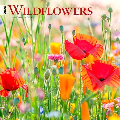 2026 BrownTrout Wildflowers 12 x 12 Monthly Wall Calendar (9798330706365)