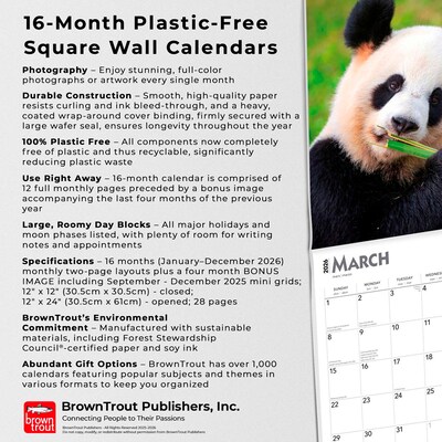 2026 BrownTrout Giant Pandas 12" x 12" Monthly Wall Calendar (9798330703418)