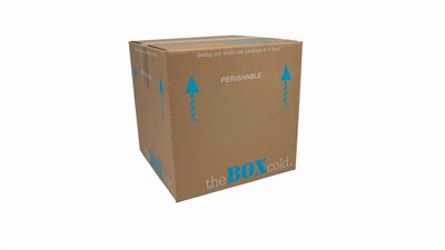 17" x 17" x 16.5" Insulated Shipping Box, 200# Mullen Rated, Kraft (E04734-L)