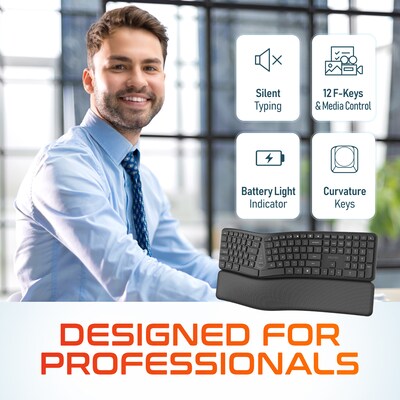 Delton E250 Wireless Ergonomic Keyboard and Trackball Mouse Combo, Black (DKWE250WBBD1)