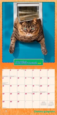 2026 BrownTrout Avanti Chatons Grognons OFFICIEL 12" x 12" Monthly Wall Calendar (9798330707287)
