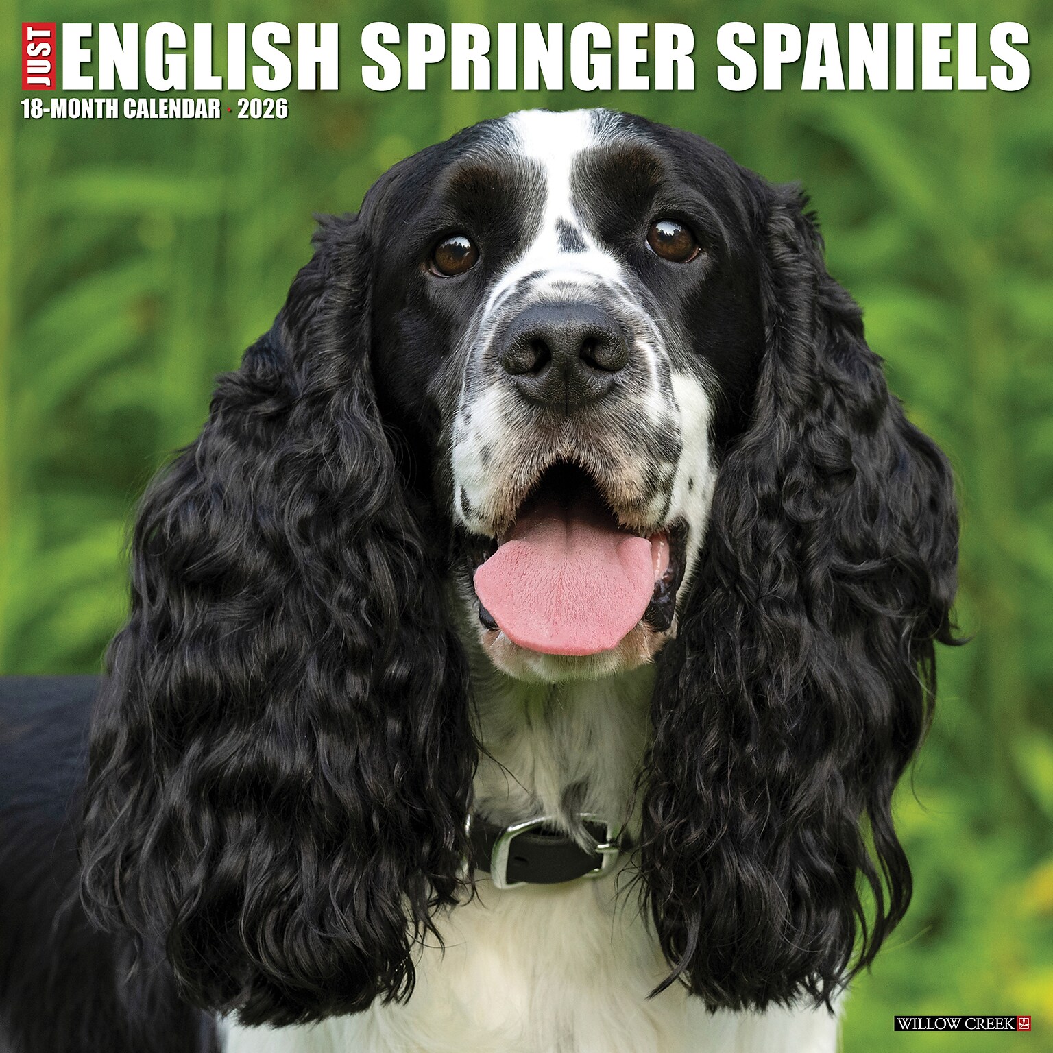 2026 Willow Creek English Springer Spaniels 12 x 12 Monthly Wall Calendar (51047)