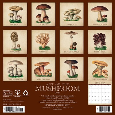 2027 Willow Creek Art of the Mushroom 12 x 12 Monthly Wall Calendar, Assorted Colors (58848)