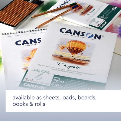 Canson C à Grain 5.8" x 8.3" Spiral Bound Drawing Sketch Book, 100 Sheets/Book (MCX31200L009)