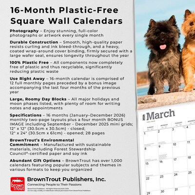 2026 BrownTrout Cairn Terriers 12" x 12" Monthly Wall Calendar (9798330702701)