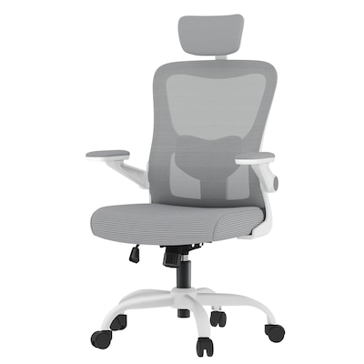 FlexiSpot Pro Comfort Swivel Computer and Desk Chair, Gray (OC1GY-SD-DP)