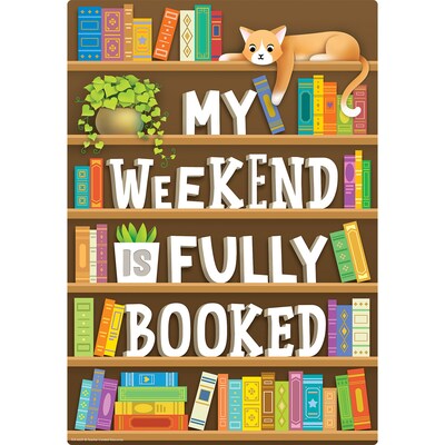 Teacher Created Resources 11" x 15-3/4" Reading Is Fun Small Poster Pack, 12/Pack (TCR6629)