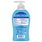 Softsoap Antibacterial Liquid Hand Soap, Cool Splash, 11.25 Oz. (US07327A)