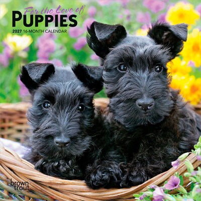 2027 BrownTrout For the Love of Puppies 7 x 7 Monthly Wall Calendar (9798330709748)
