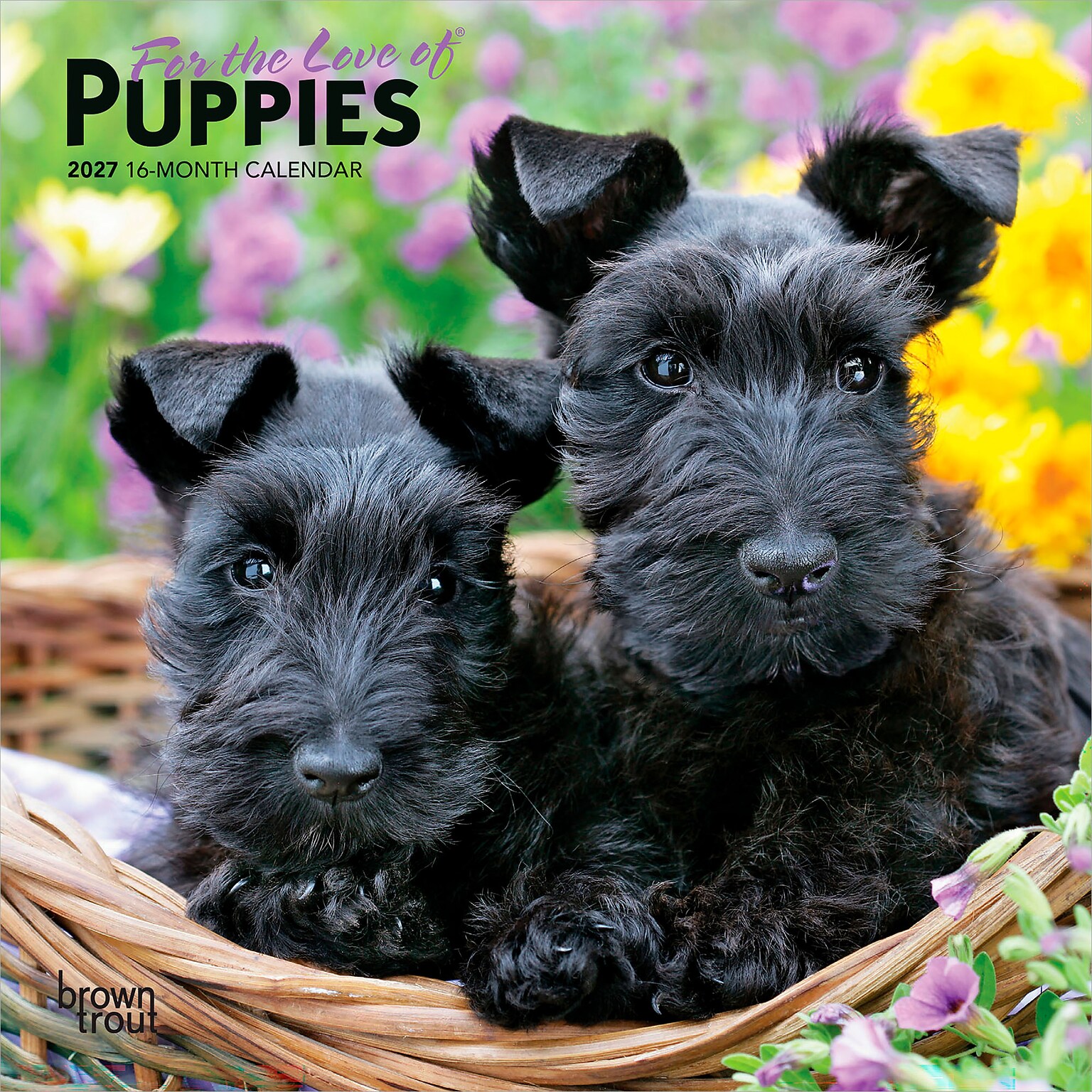 2027 BrownTrout For the Love of Puppies 7 x 7 Monthly Wall Calendar (9798330709748)