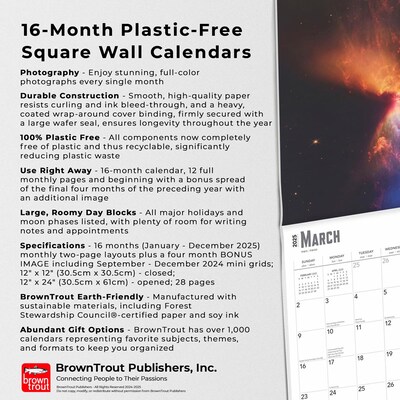 2025 BrownTrout James Webb Space Telescope 12" x 12" Monthly  Wall Calendar (9781975476465)