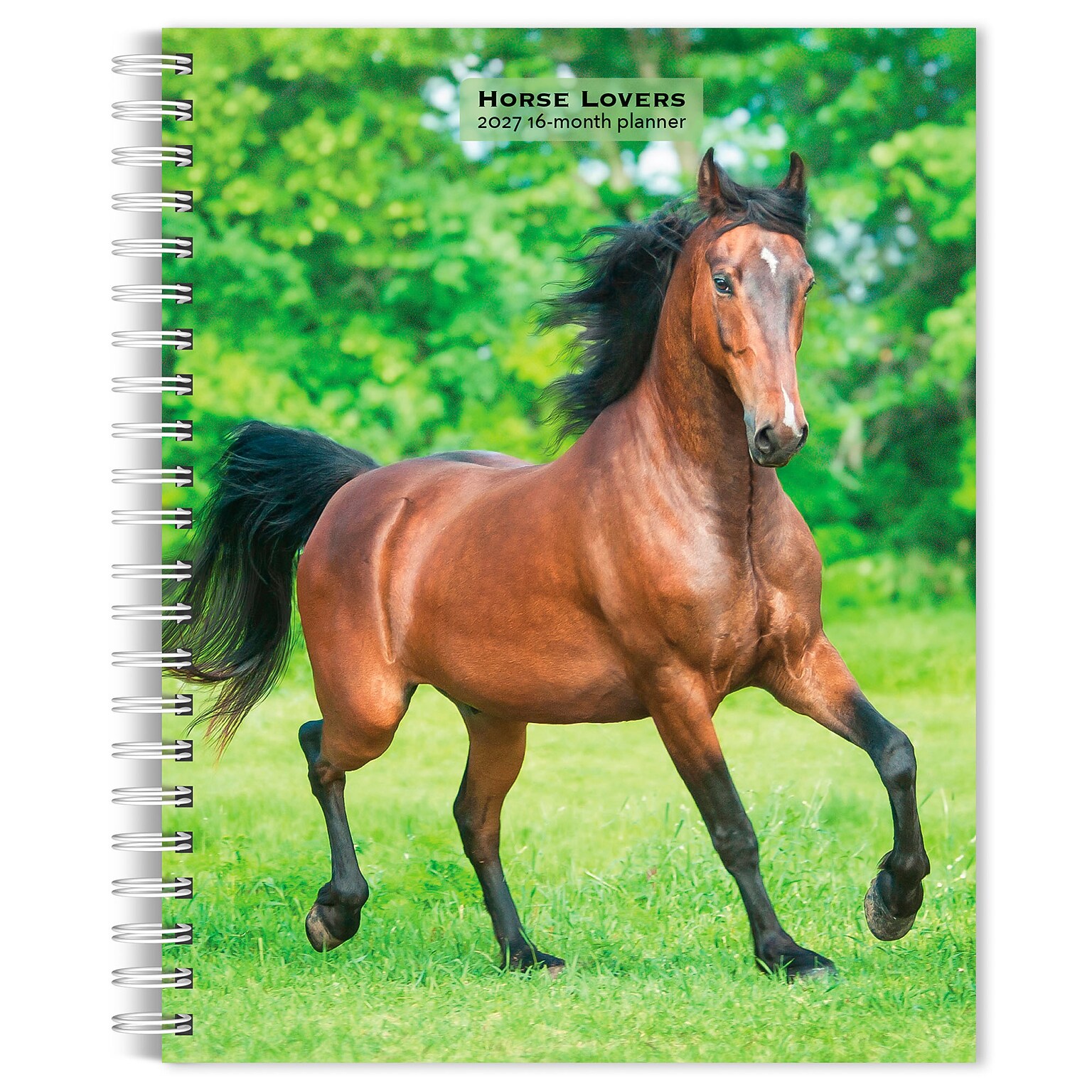 2027 BrownTrout Horse Lovers 6.5 x 7.8 Calendar Year Weekly Standard Planner, Multicolor (9798330709458)
