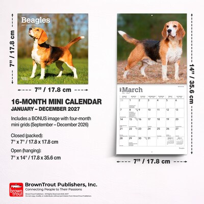 2027 BrownTrout Beagles 7" x 7" Monthly Wall Calendar, Assorted Colors (9798330709885)
