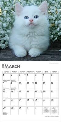 2026 BrownTrout For the Love of Kittens 7" x 7" Monthly Wall Calendar (9798330704132)