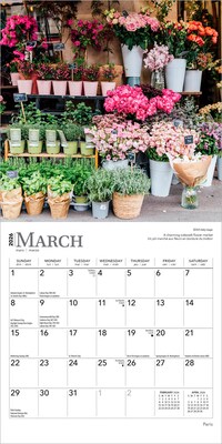 2026 BrownTrout Paris 7" x 7" Monthly Wall Calendar (9798330705078)