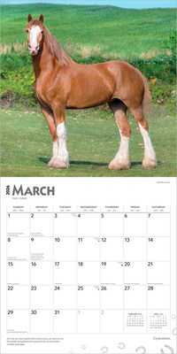2026 BrownTrout Clydesdales 12" x 12" Monthly Wall Calendar (9798330702954)