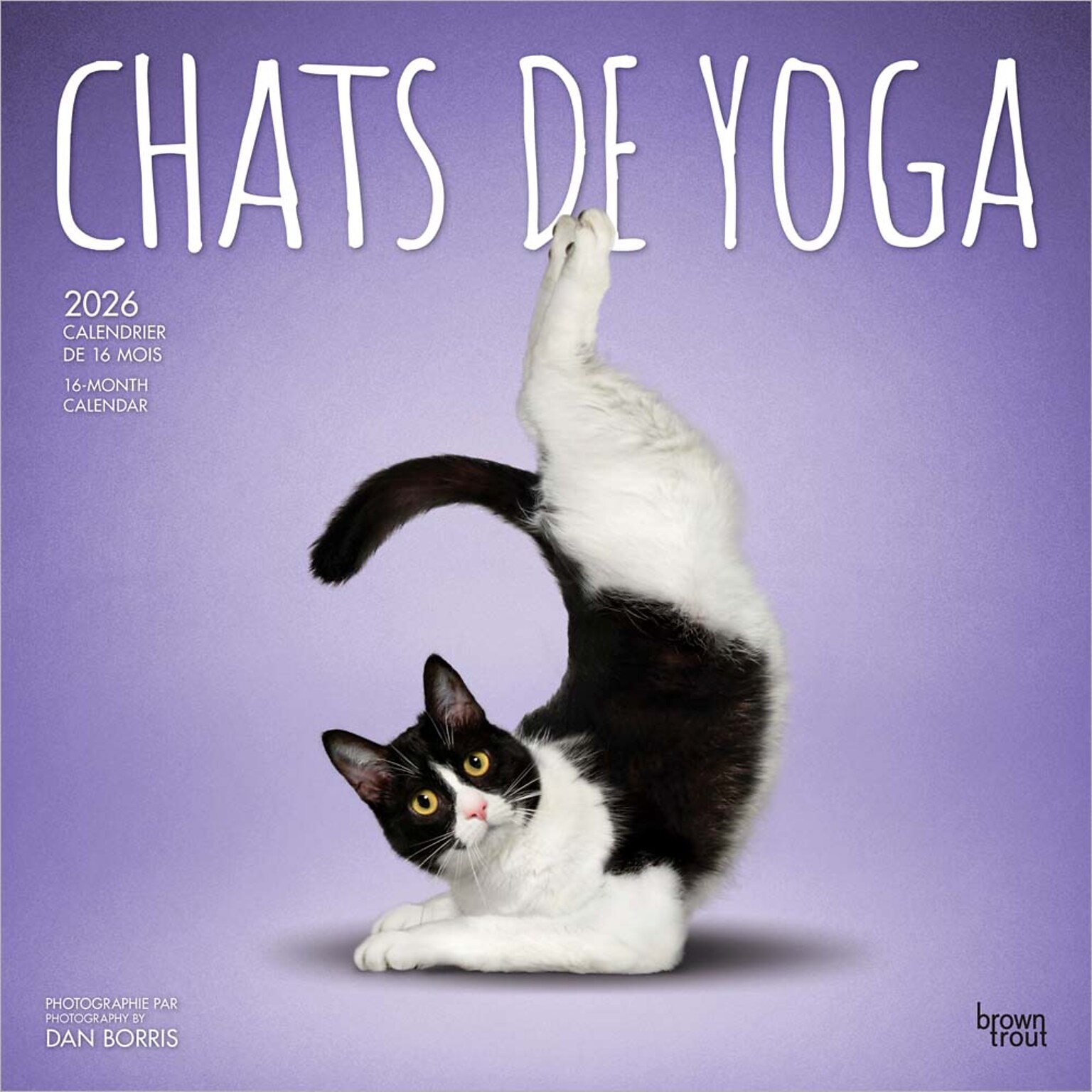 2026 BrownTrout Chats de Yoga OFFICIEL 12 x 12 Monthly Wall Calendar (9798330707348)