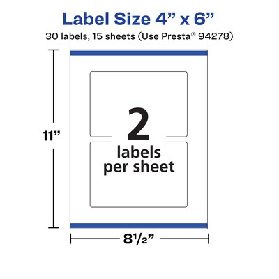 Avery Laser/Inkjet Multipurpose Rectangle Labels, 4" x 6", White, 30 Labels/Pack (94278)