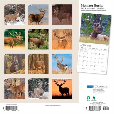 2026 Plato Monster Bucks 12 x 12 Monthly Wall Calendar (9798330706884)