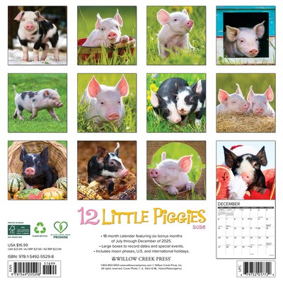 2026 Willow Creek 12 Little Piggies 12 x 12 Monthly Wall Calendar (55298)