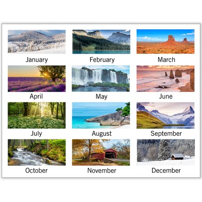 2026 AT-A-GLANCE Landscape 12 x 12 Monthly Wall Calendar, (88200-26)