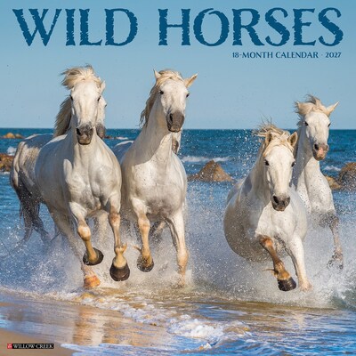 2027 Willow Creek Wild Horses 12 x 12 Monthly Wall Calendar, Assorted Colors (63019)